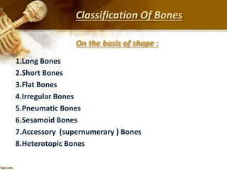 Classification Of Bones
On the basis of shape :
1.Long Bones
2.Short Bones
3.Flat Bones
4.Irregular Bones
5.Pneumatic Bones
6.Sesamoid Bones
7.Accessory (supernumerary ) Bones
8.Heterotopic Bones
 