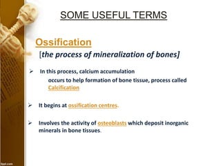  In this process, calcium accumulation
occurs to help formation of bone tissue, process called
Calcification
 It begins at ossification centres.
 Involves the activity of osteoblasts which deposit inorganic
minerals in bone tissues.
SOME USEFUL TERMS
Ossification
[the process of mineralization of bones]
 