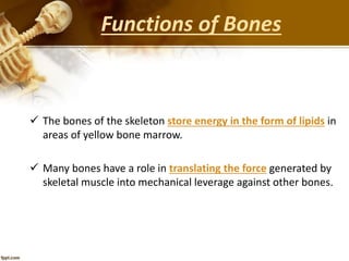  The bones of the skeleton store energy in the form of lipids in
areas of yellow bone marrow.
 Many bones have a role in translating the force generated by
skeletal muscle into mechanical leverage against other bones.
Functions of Bones
 