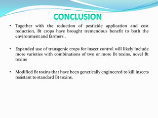 BT crops | PPTX