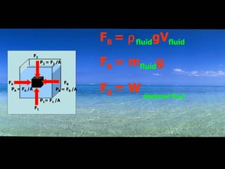F B  =   fluid gV fluid F B  = m fluid g displaced fluid F B  = W 
