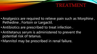 TREATMENT
•Analgesics are required to relieve pain such as Morphine ,
Pethedine , Fortoin or Largactil.
•Antibiotics are prescribed to treat infection .
•Antitetanus serum is administered to prevent the
potential risk of tetanus.
•Mannitol may be prescribed in renal failure.
 