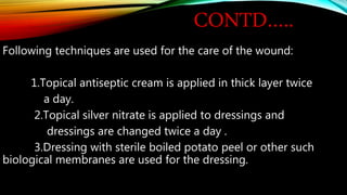 CONTD…..
Following techniques are used for the care of the wound:
1.Topical antiseptic cream is applied in thick layer twice
a day.
2.Topical silver nitrate is applied to dressings and
dressings are changed twice a day .
3.Dressing with sterile boiled potato peel or other such
biological membranes are used for the dressing.
 