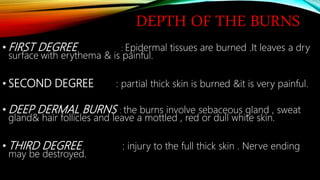 DEPTH OF THE BURNS
• FIRST DEGREE : Epidermal tissues are burned .It leaves a dry
surface with erythema & is painful.
• SECOND DEGREE : partial thick skin is burned &it is very painful.
• DEEP DERMAL BURNS : the burns involve sebaceous gland , sweat
gland& hair follicles and leave a mottled , red or dull white skin.
• THIRD DEGREE : injury to the full thick skin . Nerve ending
may be destroyed.
 