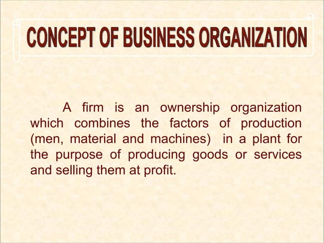 Presentation On Business Organization | PPT