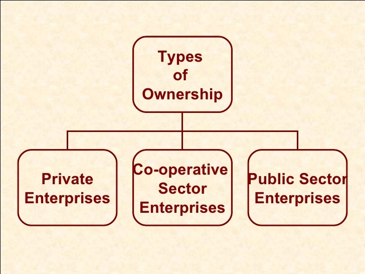 types of business organisation and ownership Certificate/diploma in business which are examples of different types of business ownership for example, organisation other organisations. types of business organisation and ownership Certificate/diploma in business which are examples of different types of business ownership for example, organisation other organisations.