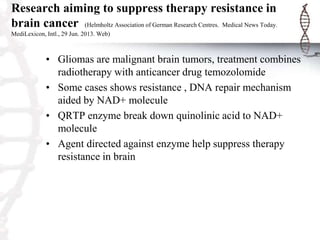 Research aiming to suppress therapy resistance in
brain cancer (Helmholtz Association of German Research Centres. Medical News Today.
MediLexicon, Intl., 29 Jun. 2013. Web)
• Gliomas are malignant brain tumors, treatment combines
radiotherapy with anticancer drug temozolomide
• Some cases shows resistance , DNA repair mechanism
aided by NAD+ molecule
• QRTP enzyme break down quinolinic acid to NAD+
molecule
• Agent directed against enzyme help suppress therapy
resistance in brain
 