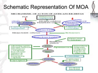 Schematic Representation Of MOA
 
