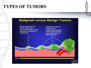 TYPES OF TUMORS
 