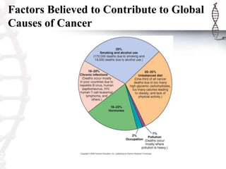 Factors Believed to Contribute to Global
Causes of Cancer
 