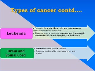• Occurs in the white blood cells and bone marrow,
the tissue that forms blood cells.
• There are several subtypes; common are lymphocytic
leukaemia and chronic lymphocytic leukaemia
Leukemia
• central nervous system cancers.
• Some are benign while others can grow and
spread.
Brain and
Spinal Cord
 