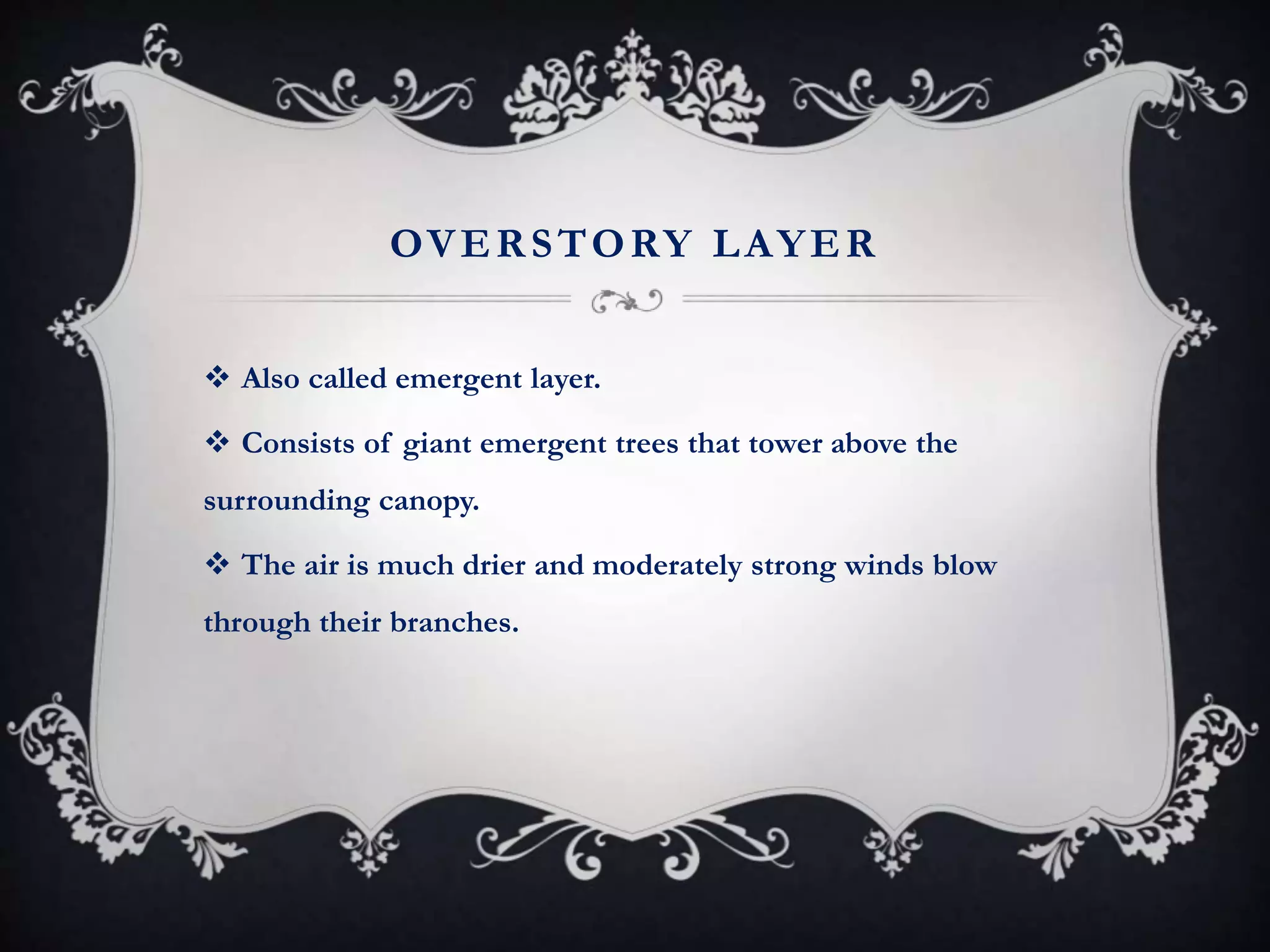 OVERSTORY LAYER
 Also called emergent layer.
 Consists of giant emergent trees that tower above the
surrounding canopy.
 The air is much drier and moderately strong winds blow
through their branches.
 