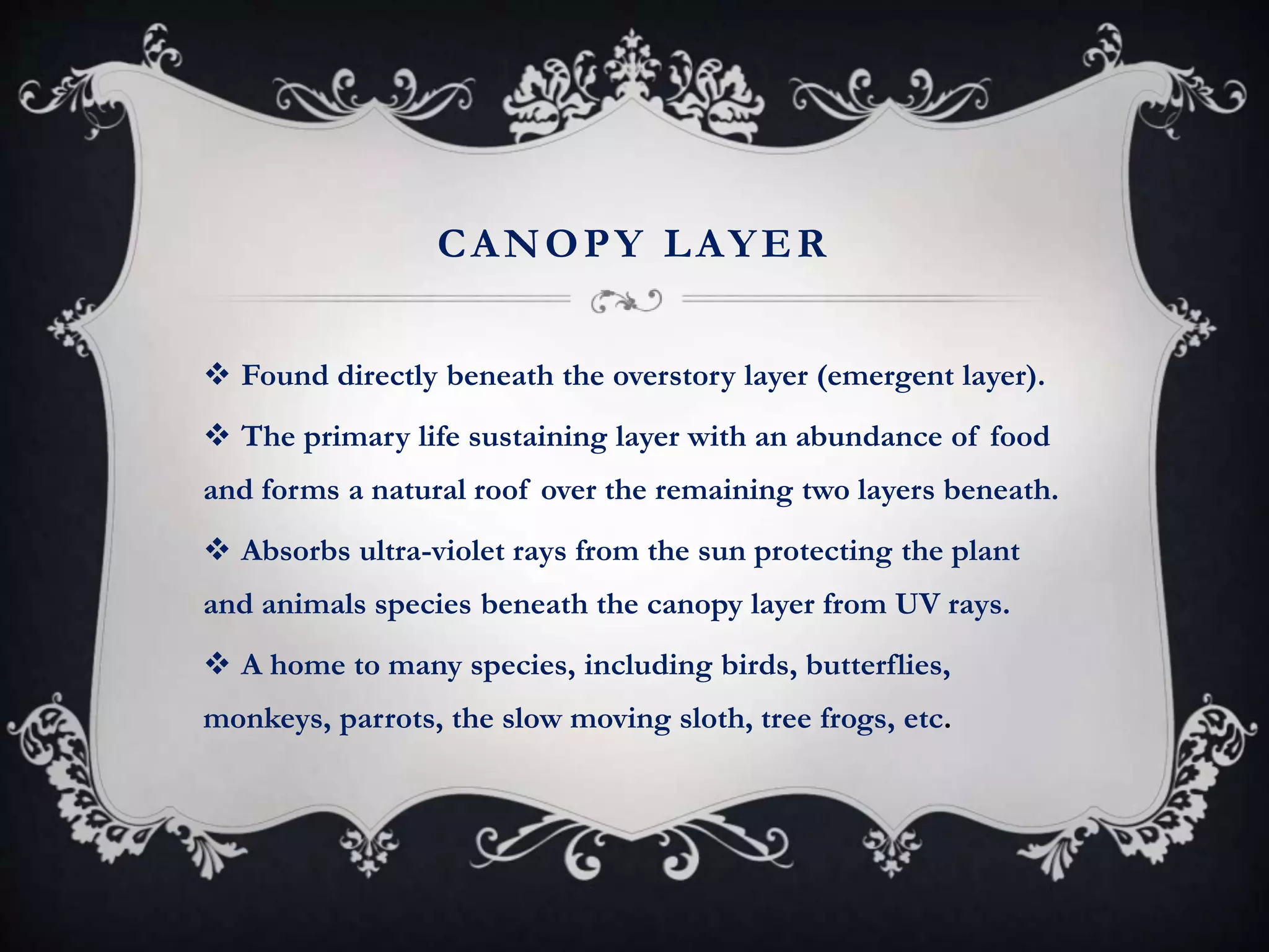 CANOPY LAYER
 Found directly beneath the overstory layer (emergent layer).
 The primary life sustaining layer with an abundance of food
and forms a natural roof over the remaining two layers beneath.
 Absorbs ultra-violet rays from the sun protecting the plant
and animals species beneath the canopy layer from UV rays.
 A home to many species, including birds, butterflies,
monkeys, parrots, the slow moving sloth, tree frogs, etc.
 