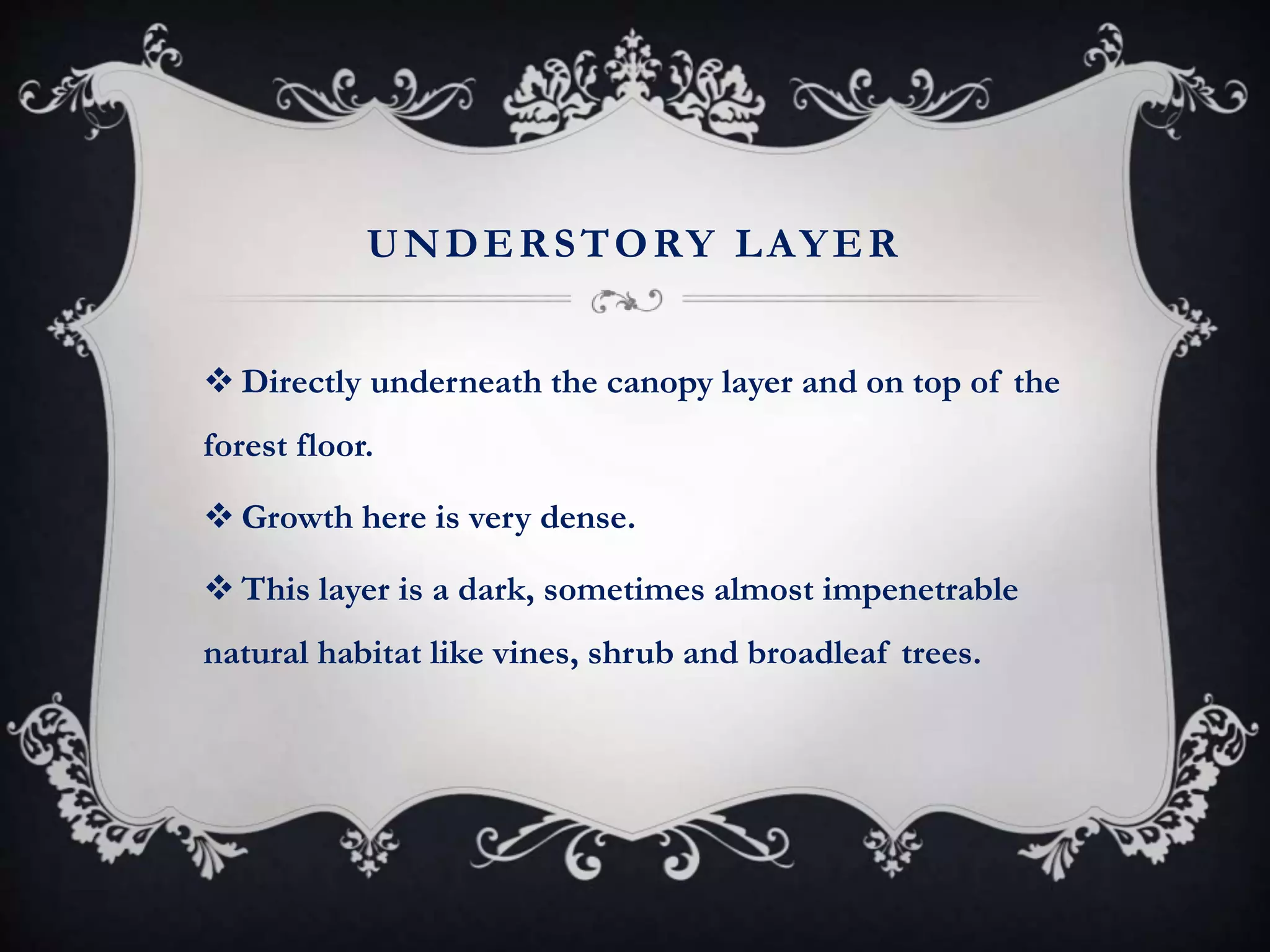 UNDERSTORY LAYER
 Directly underneath the canopy layer and on top of the
forest floor.
 Growth here is very dense.
 This layer is a dark, sometimes almost impenetrable
natural habitat like vines, shrub and broadleaf trees.
 