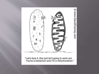 Cartoons in Social Sciences:
 Comics helps students learn about the past
and present of the society in which they reside.
 Comics helps to encounter various details
about other societies.
 Students are given the opportunity to learn
about the rich and cultural experiences of
mankind throughout history.
 