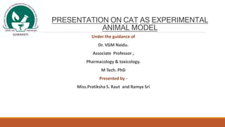 PRESENTATION ON CAT AS EXPERIMENTAL
ANIMAL MODEL
Under the guidance of
Dr. VGM Naidu.
Associate Professor ,
Pharmacology & toxicology.
M Tech. PhD
Presented by -
Miss.Pratiksha S. Raut and Ramya Sri
 