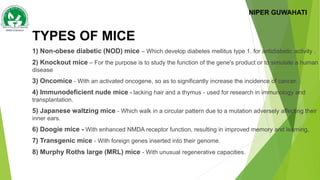 Doogie Mouse ANIMALS USED FOR EXPERIMENTS IN PHARMACOLOGY & MEDICINE | PPTX