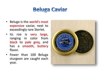 Expensive Fish Roe Caviar | PPTX