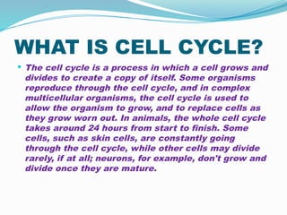WHAT IS CELL CYCLE?
 The cell cycle is a process in which a cell grows and
divides to create a copy of itself. Some organisms
reproduce through the cell cycle, and in complex
multicellular organisms, the cell cycle is used to
allow the organism to grow, and to replace cells as
they grow worn out. In animals, the whole cell cycle
takes around 24 hours from start to finish. Some
cells, such as skin cells, are constantly going
through the cell cycle, while other cells may divide
rarely, if at all; neurons, for example, don't grow and
divide once they are mature.
 