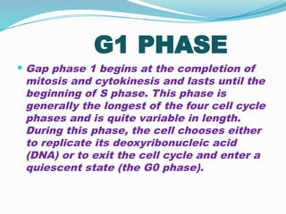 G1 PHASE
 Gap phase 1 begins at the completion of
mitosis and cytokinesis and lasts until the
beginning of S phase. This phase is
generally the longest of the four cell cycle
phases and is quite variable in length.
During this phase, the cell chooses either
to replicate its deoxyribonucleic acid
(DNA) or to exit the cell cycle and enter a
quiescent state (the G0 phase).
 