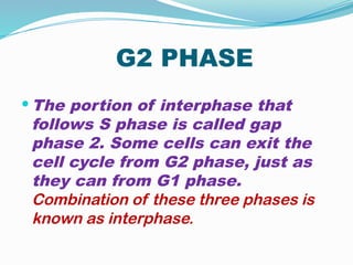 G2 PHASE
 The portion of interphase that
follows S phase is called gap
phase 2. Some cells can exit the
cell cycle from G2 phase, just as
they can from G1 phase.
Combination of these three phases is
known as interphase.
 
