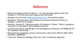 Cell Cycle and Cell Death.pptx