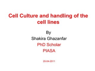Cell Culture and handling of the
cell lines
By
Shakira Ghazanfar
PhD Scholar
PIASA
20-04-2011
 