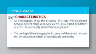 CEPHALOPODS
CHARACTERISTICS
» All cephalopods show the presence of a very well-developed
nervous system along with eyes, as well as a closed circulatory
system. They are highly advanced and organized.
» The uniting of the major ganglionic centers of the central nervous
system constitutes a brain of considerable complexity
8
 