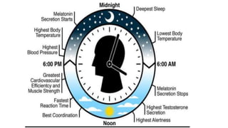 Application of Chronotherapy In disease | PPTX