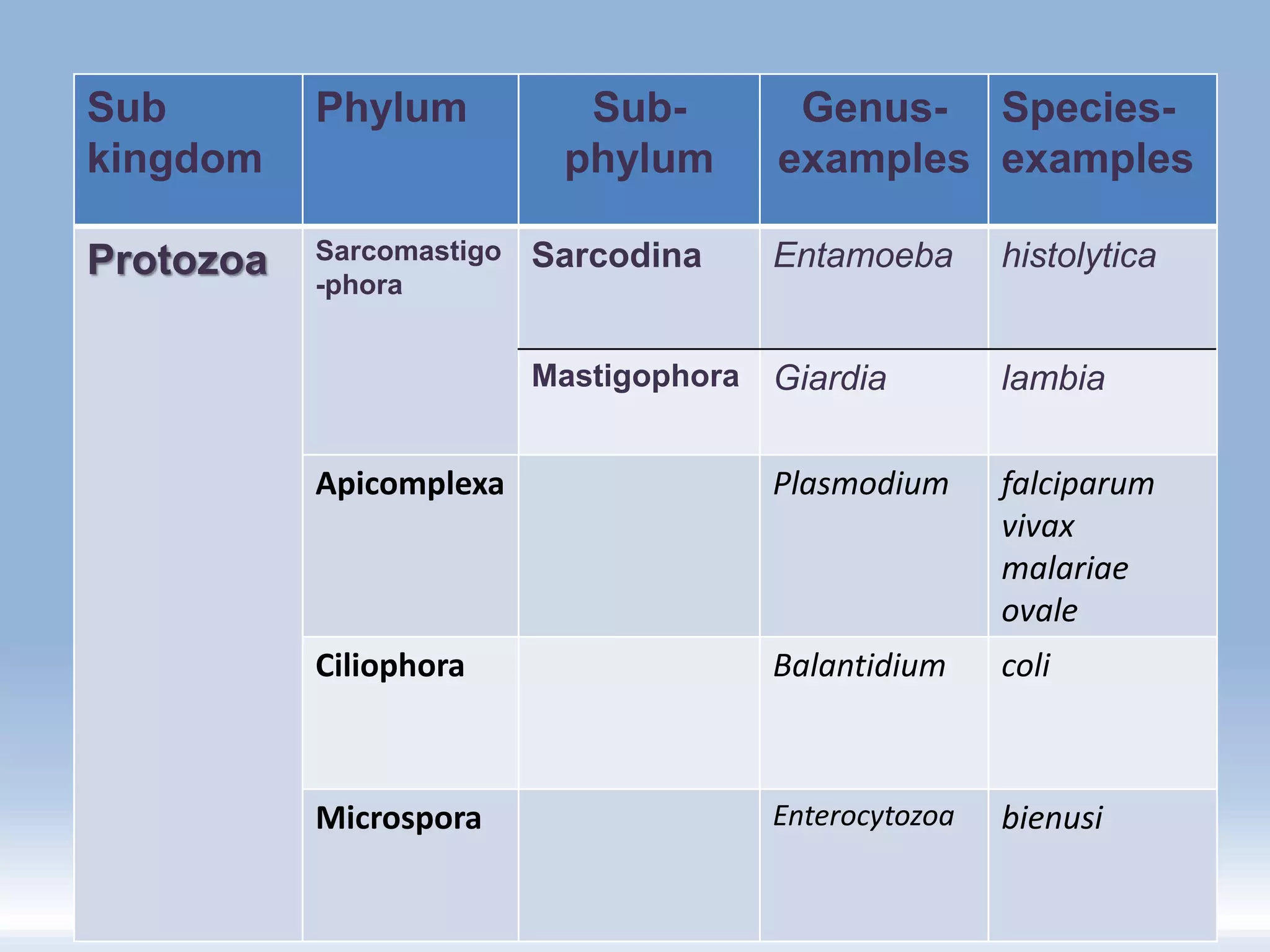 Sub
kingdom
Phylum Sub-
phylum
Genus-
examples
Species-
examples
Protozoa Sarcomastigo
-phora
Sarcodina Entamoeba histolytica
Mastigophora Giardia lambia
Apicomplexa Plasmodium falciparum
vivax
malariae
ovale
Ciliophora Balantidium coli
Microspora Enterocytozoa bienusi
 