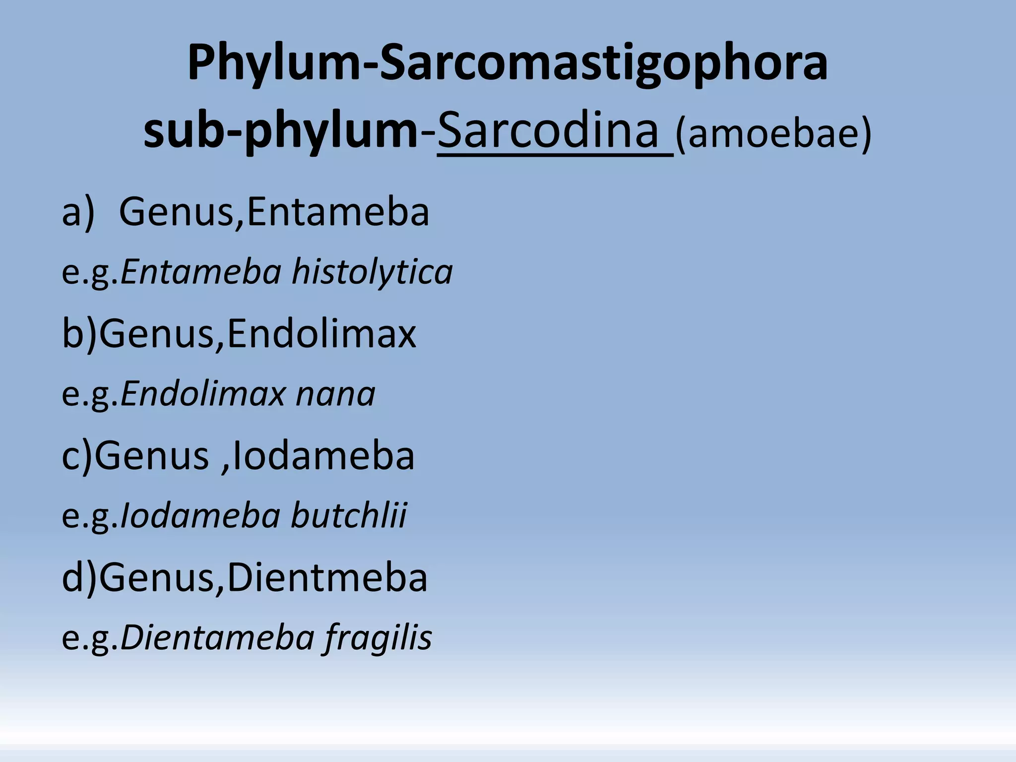 Phylum-Sarcomastigophora
sub-phylum-Sarcodina (amoebae)
a) Genus,Entameba
e.g.Entameba histolytica
b)Genus,Endolimax
e.g.Endolimax nana
c)Genus ,Iodameba
e.g.Iodameba butchlii
d)Genus,Dientmeba
e.g.Dientameba fragilis
 