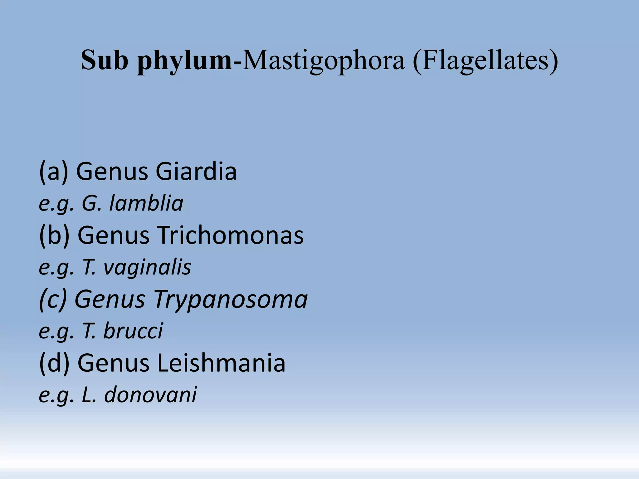 Sub phylum-Mastigophora (Flagellates)
(a) Genus Giardia
e.g. G. lamblia
(b) Genus Trichomonas
e.g. T. vaginalis
(c) Genus Trypanosoma
e.g. T. brucci
(d) Genus Leishmania
e.g. L. donovani
 