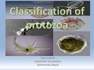 Classification of
protozoa
Ajay Subedi
Janamaitri foundation
Kathmandu,Nepal
 