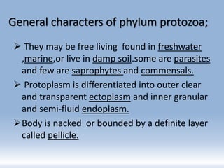 Presentation on classification of protozoa | PPTX