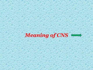 Meaning of CNS
 