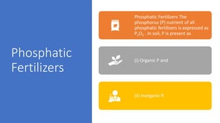 Phosphatic
Fertilizers
Phosphatic Fertilizers The
phosphorus (P) nutrient of all
phosphatic fertilizers is expressed as
P2...