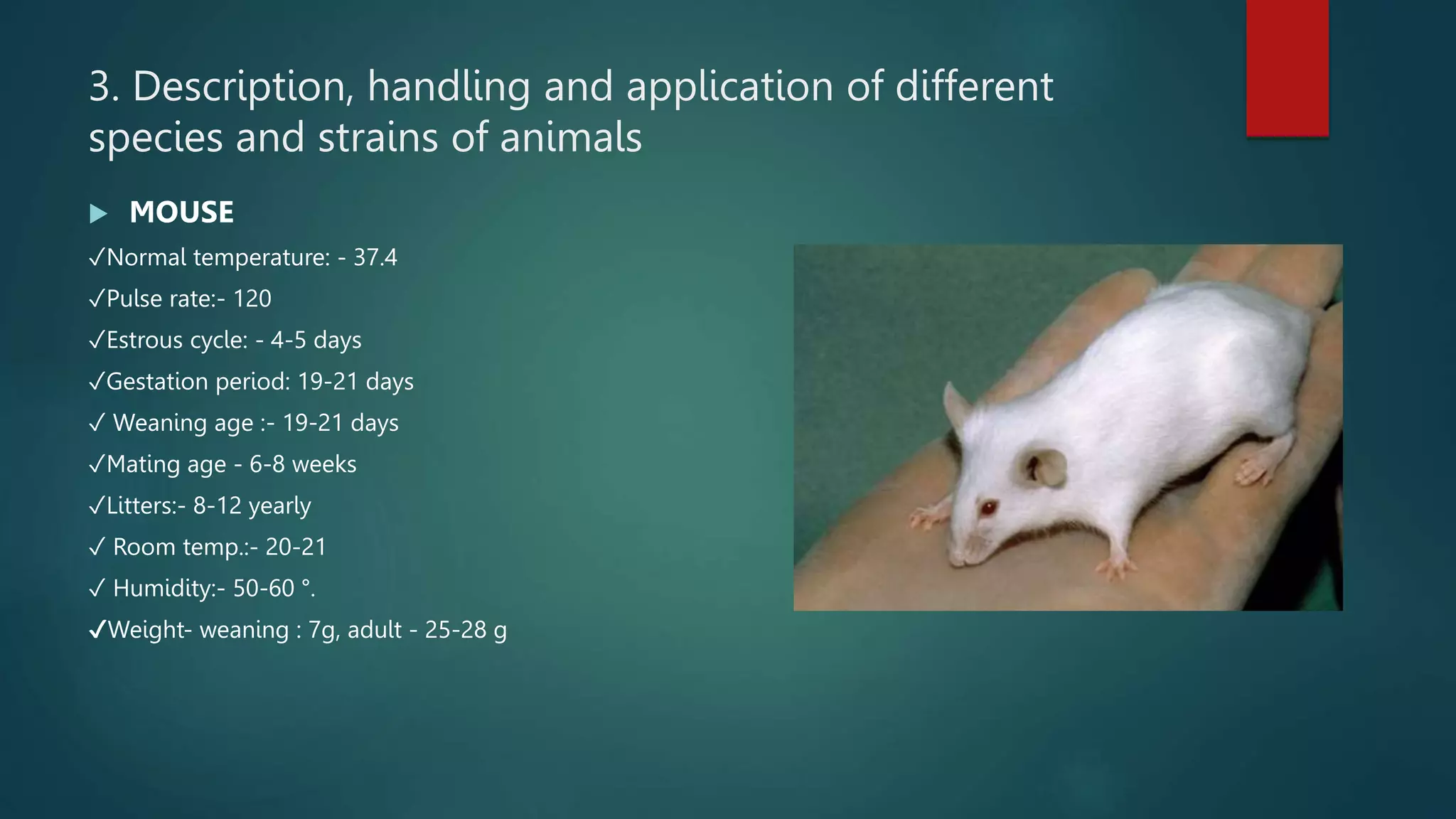PRESENTATION ON COMMON LABORATORY ANIMALS (Aslamkhan).pptx