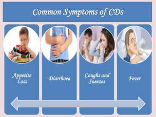 Appetite
Loss
Diarrhoea
Coughs and
Sneezes
Fever
 