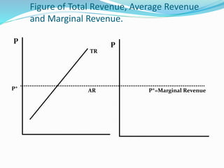 Presentation on Cost and Revenue | PPTX
