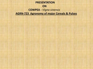 1
PRESENTATION
ON
COWPEA - Vigna sinensis
AGRN-723 Agronomy of major Cereals & Pulses
 
