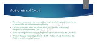 Active sites of Cox 2
 The cyclooxygenase active site is created by a long hydrophobic channel that is the site
of non-steroidal anti-inflammatory drug binding.
 Cyclooxygenase sites where arachidonic acid is converted into hydroperoxyl
endoperoxide prostaglandin G2 (PGG2)
 Heme site with peroxidase activity is responsible for the conversion of PGG2 to PGH2.
 Which is then converted into prostanoids ( PGD2 , PGF2α , PGE2, thromboxane A2,
PGI2) by specific isomerase enzyme.
6
 