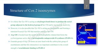Structure of Cox 2 isoenzymes
7
 It is likely that Tyr-385 is acting as a hydrogen bond donor to position the acetyl
group adjacent to the hydroxyl group of Ser-530 and to increase the reactivity.
 However, it is also possible that Tyr-385 is acting as a nucleophile and forming a
transient O-acetyl-Tyr-385 that transfers acetyl to Ser-530.
 Arg-120 is located near the mouth of the hydrophobic channel that forms the
cyclooxygenase active site of prostaglandin endoperoxide H synthases (PGHS-1).
 Guanido group of Arg-120 forms an ionic bond with the carboxylate group of
arachidonate and that this interaction is an important contributor to the overall
strength of arachidonate binding to PGHS-1
 
