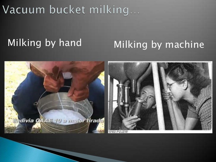 Presentation on dairy industry