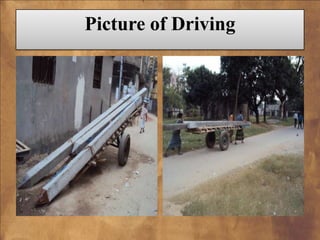 Picture of Driving

 