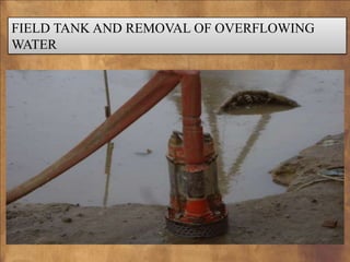 FIELD TANK AND REMOVAL OF OVERFLOWING
WATER

 