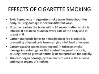 how much is a pack of cigarettes australia 2024 How much do cigarettes cost in different countries?