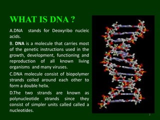WHAT IS DNA ?
A.DNA stands for Deoxyribo nucleic
acids.
B. DNA is a molecule that carries most
of the genetic instructions used in the
growth, development, functioning and
reproduction of all known living
organisms and many viruses.
C.DNA molecule consist of biopolymer
strands coiled around each other to
form a double helix.
D.The two strands are known as
polynucleotide strands since they
consist of simpler units called called a
nucleotides.
2
 