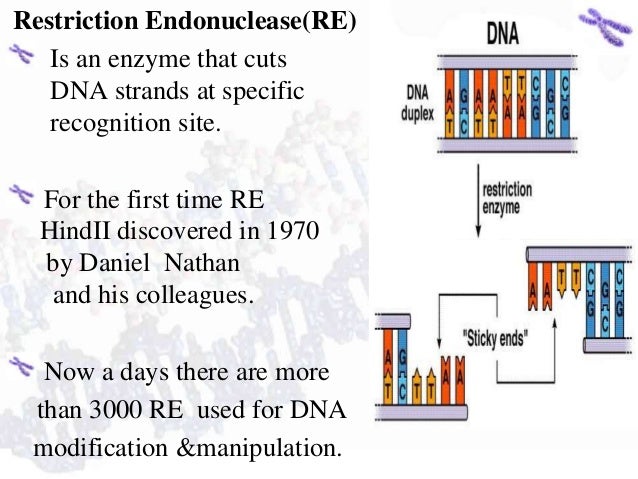 an overview of the objectives of the human genome project The human genome project, part 2 public vs private efforts to map the human genome who are the major competition for the hgp what technique is the hgp using and. an overview of the objectives of the human genome project The human genome project, part 2 public vs private efforts to map the human genome who are the major competition for the hgp what technique is the hgp using and.