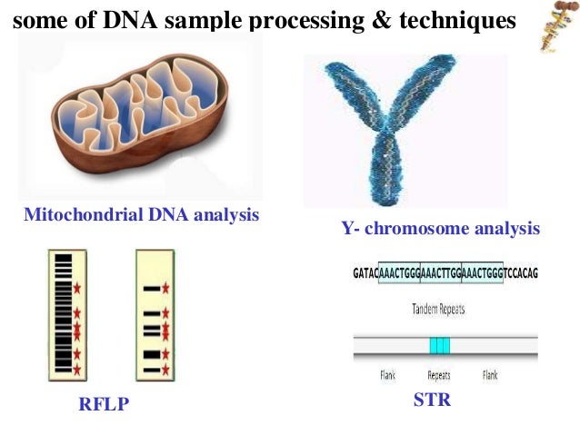 recombinant dna technology forensic