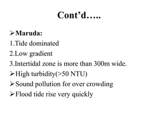Cont’d…..
Maruda:
1.Tide dominated
2.Low gradient
3.Intertidal zone is more than 300m wide.
High turbidity(>50 NTU)
Sound pollution for over crowding
Flood tide rise very quickly
 